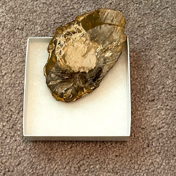 Petrified wood small slab fossil - Picture 3 of 6